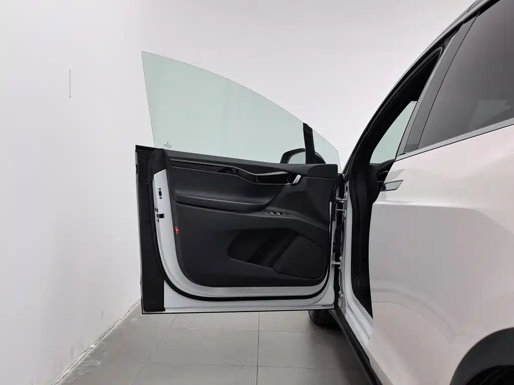 Tesla Model X — миниатюра 8