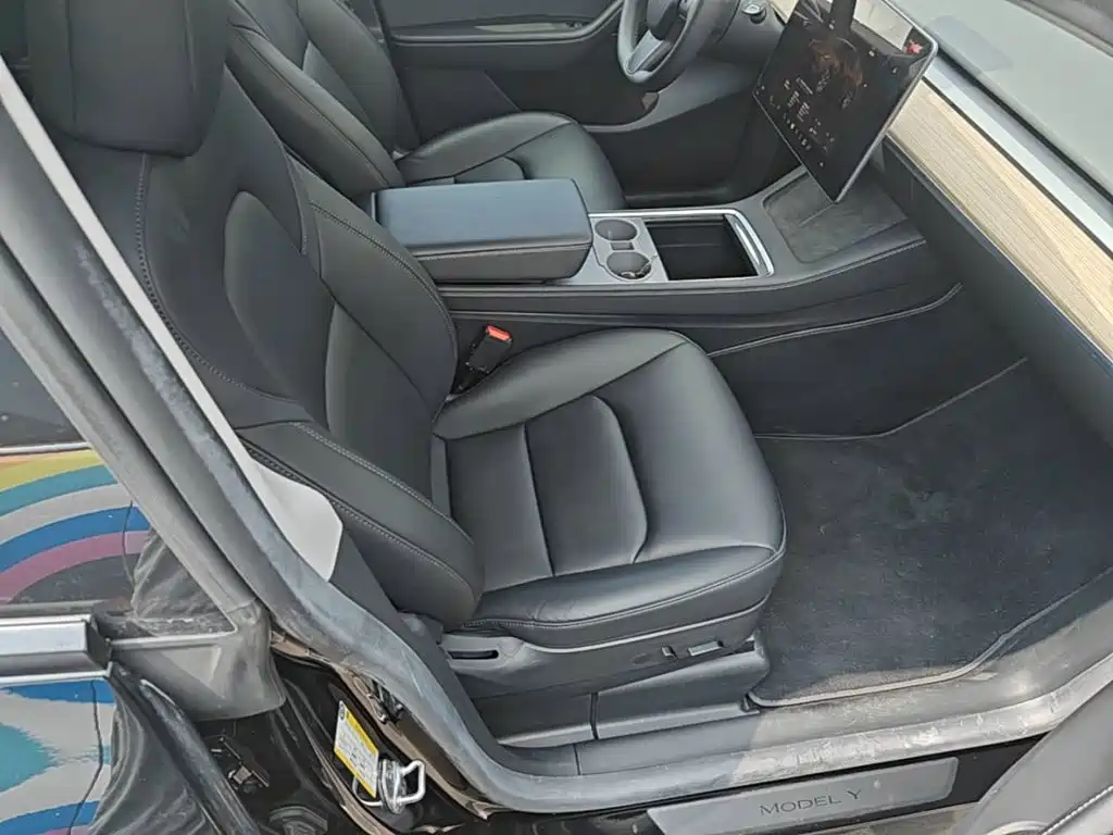 Tesla Model Y — миниатюра 20