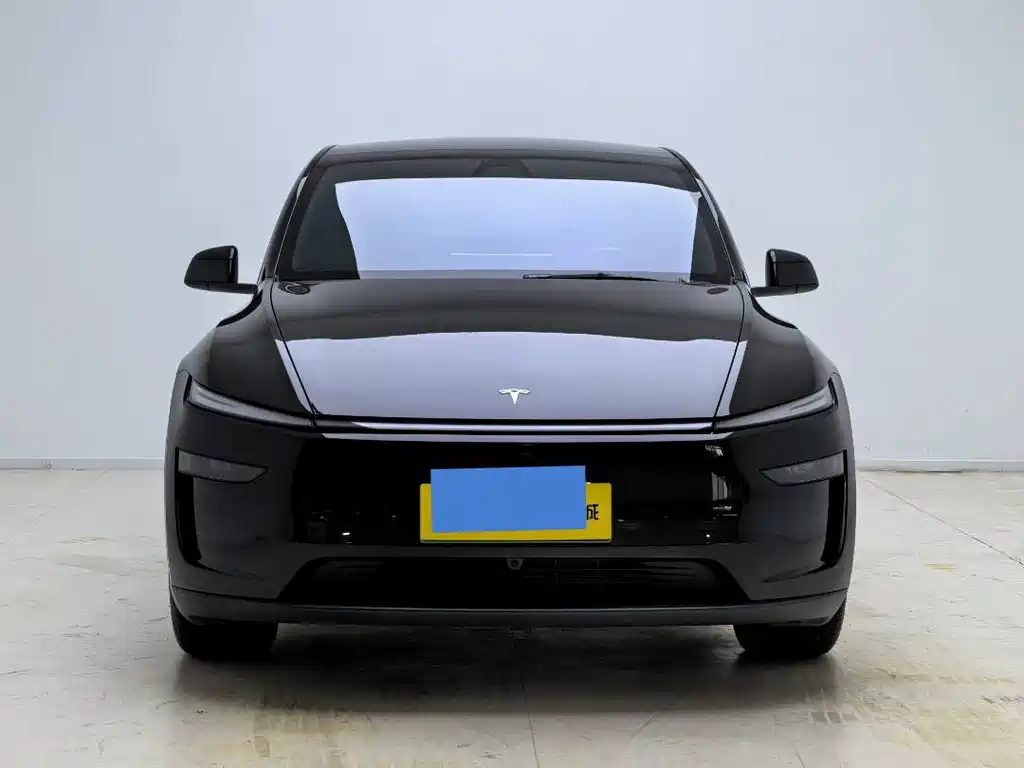 Tesla Model Y — миниатюра 2