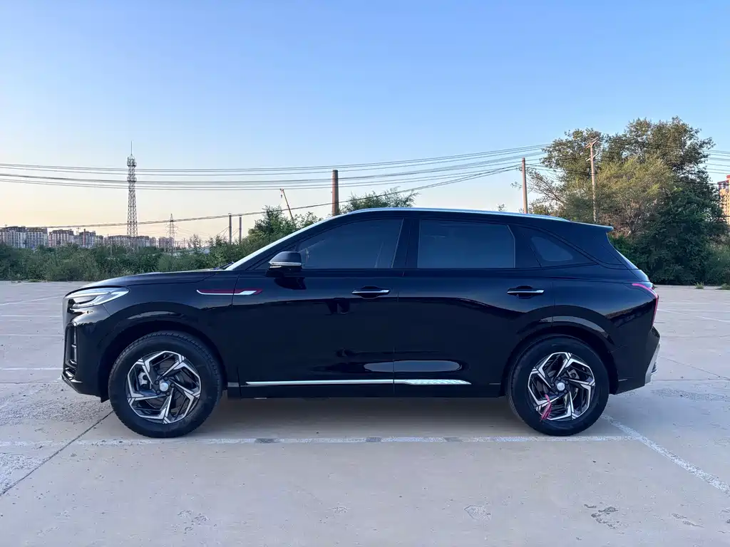 Hongqi Hongqi HS3 — миниатюра 4