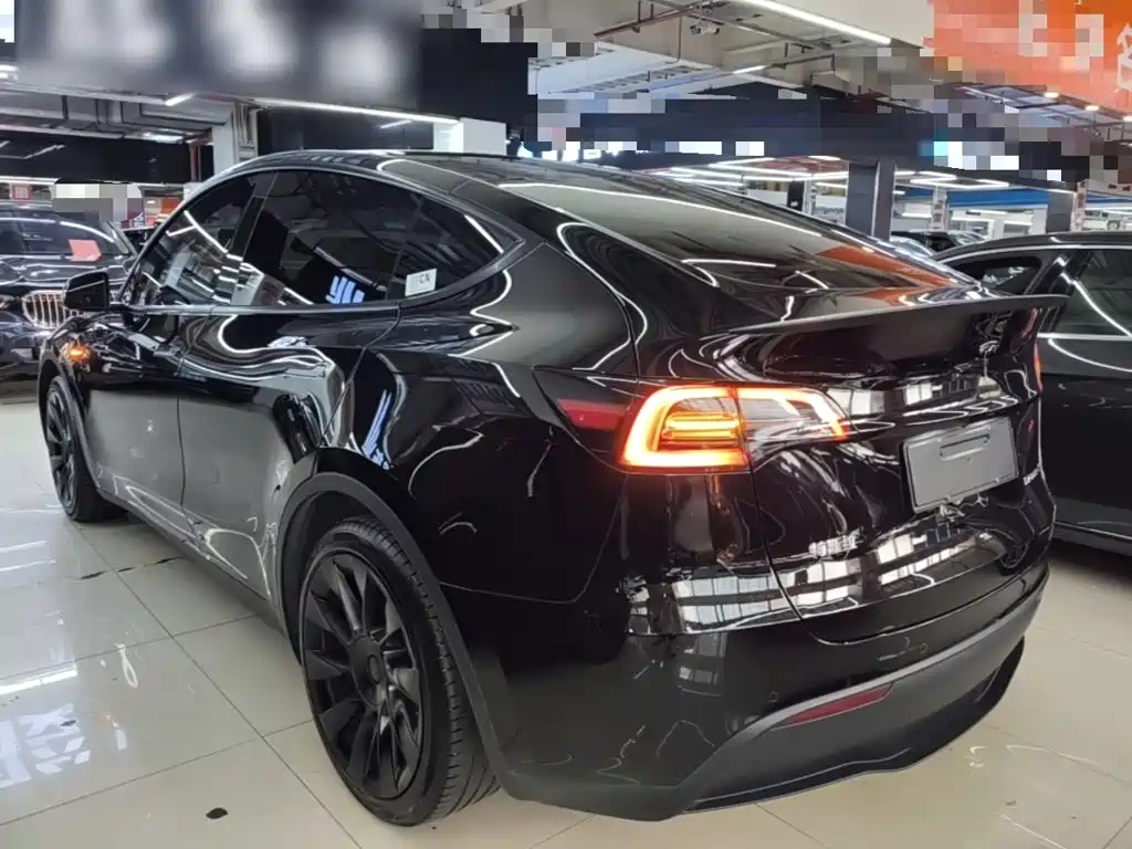 Tesla Model Y — миниатюра 5