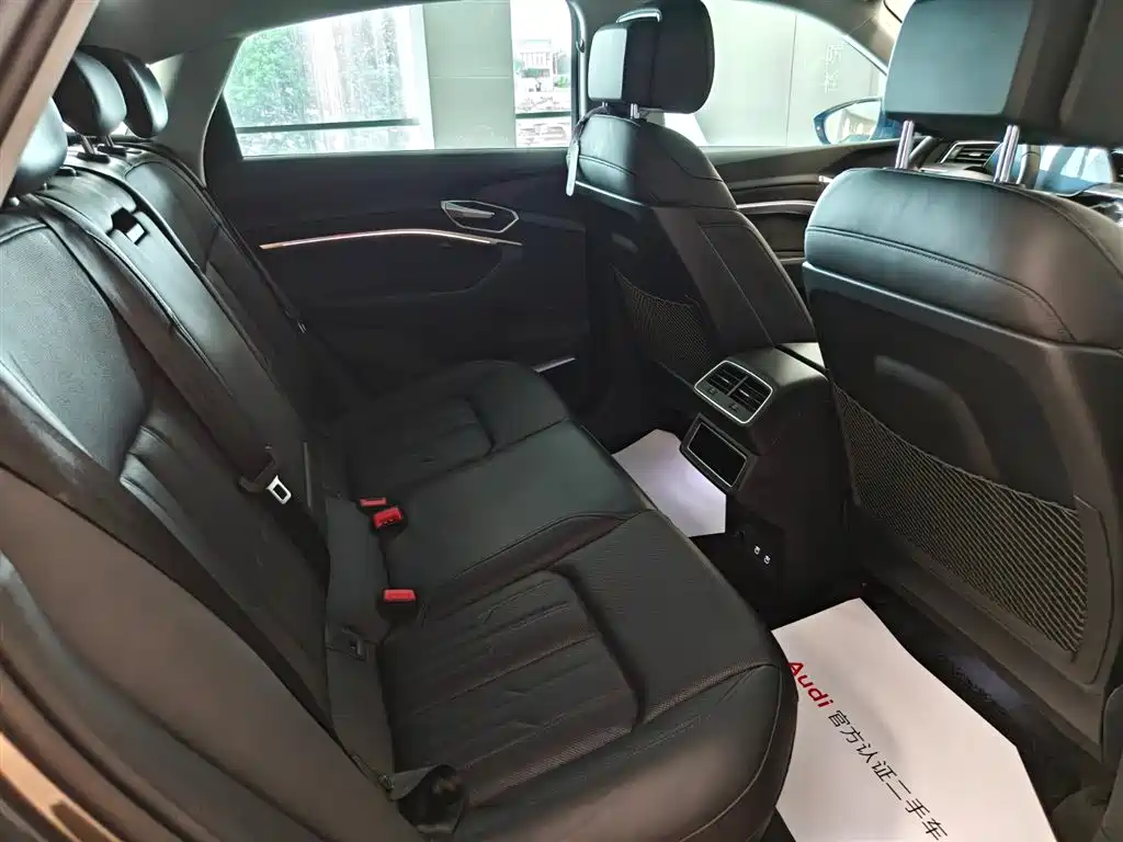 Audi e-tron (Import) — миниатюра 13