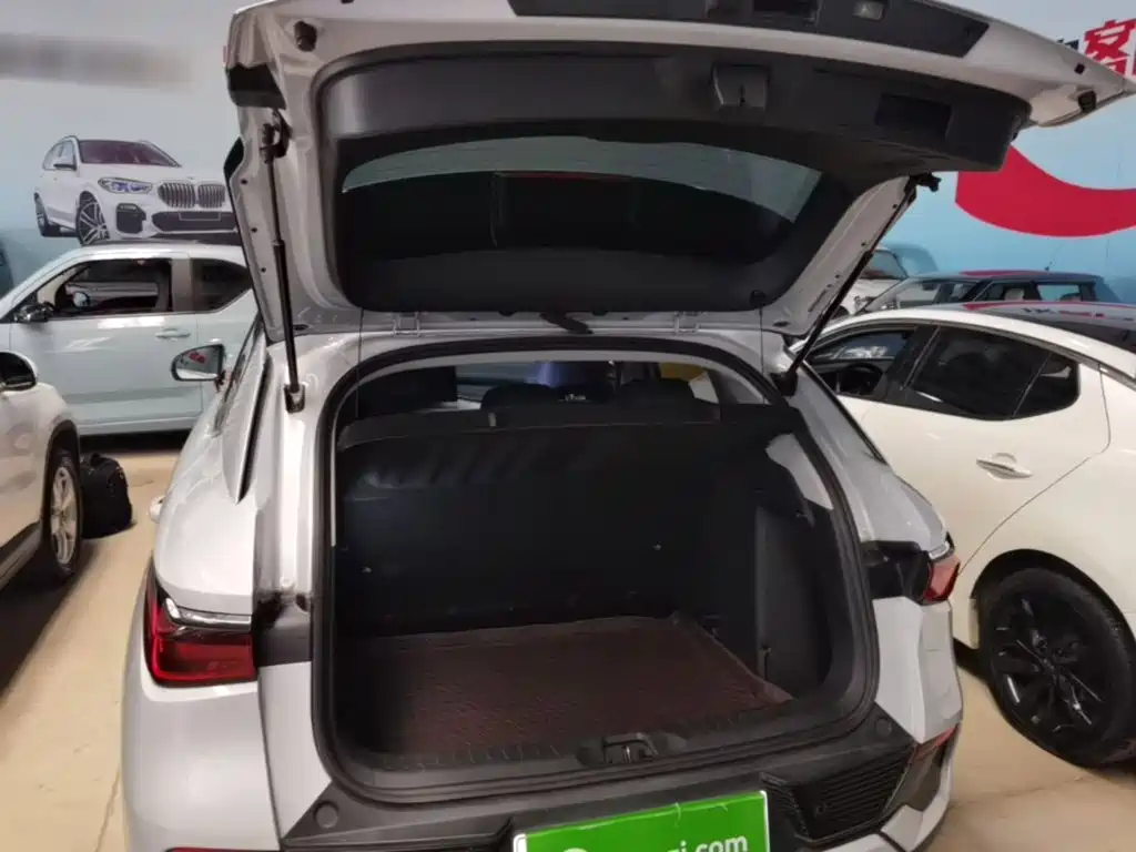 BYD Yuan Plus — миниатюра 19