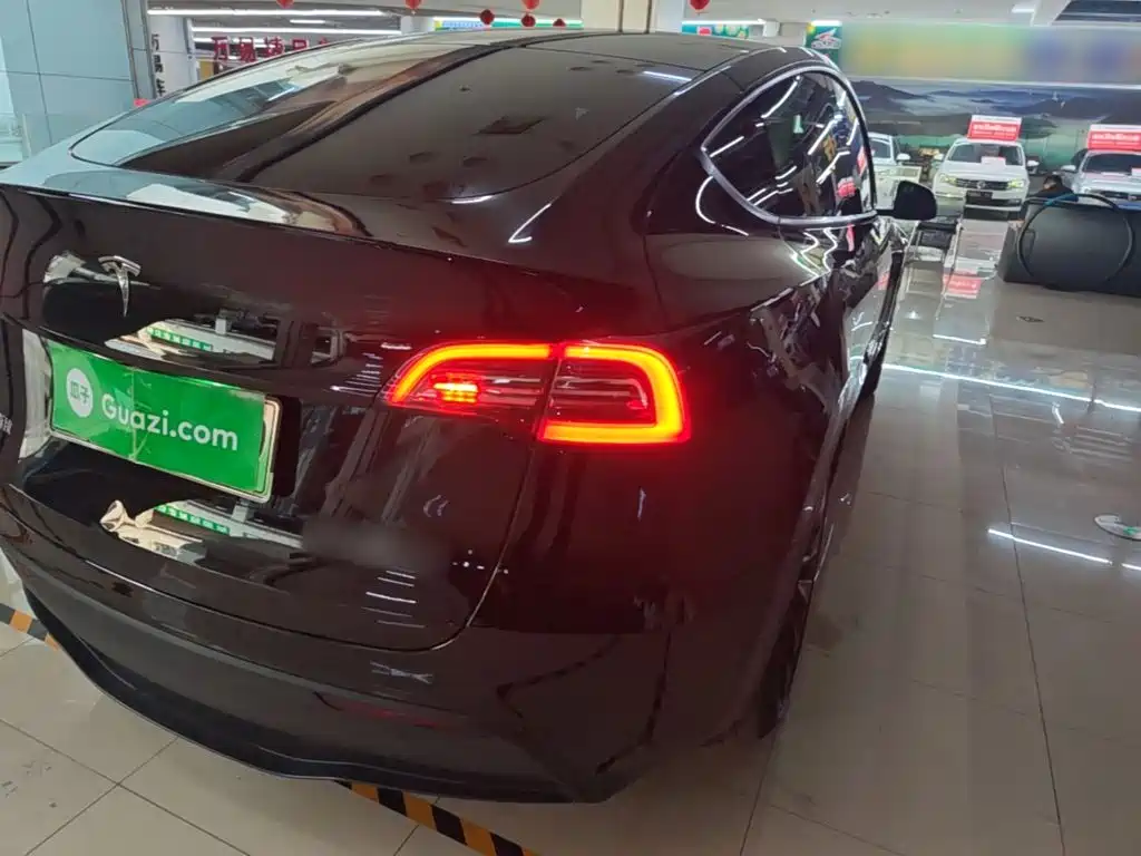 Tesla Model Y — миниатюра 8