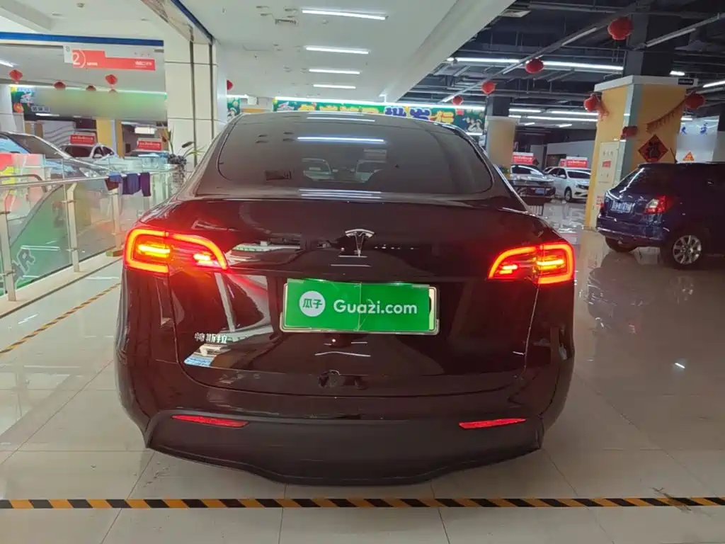 Tesla Model Y — миниатюра 6