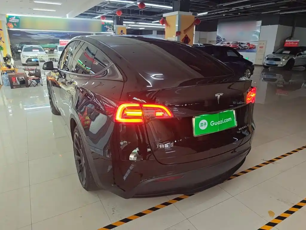 Tesla Model Y — миниатюра 5