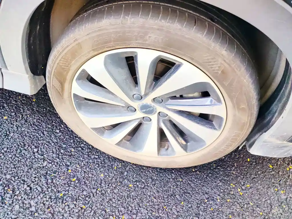 BYD PLUS New Energy — миниатюра 24