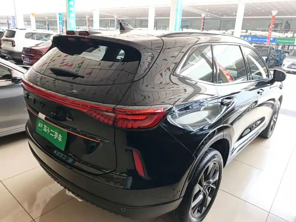 Haval H6 — миниатюра 7