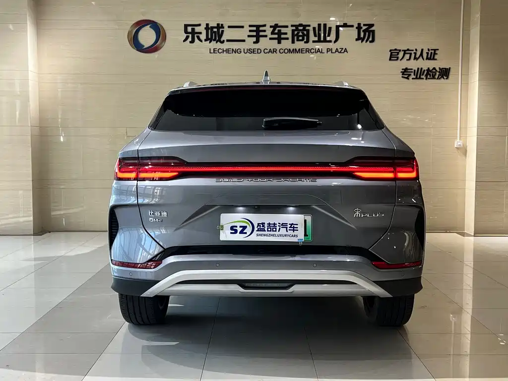 BYD PLUS New Energy — миниатюра 19