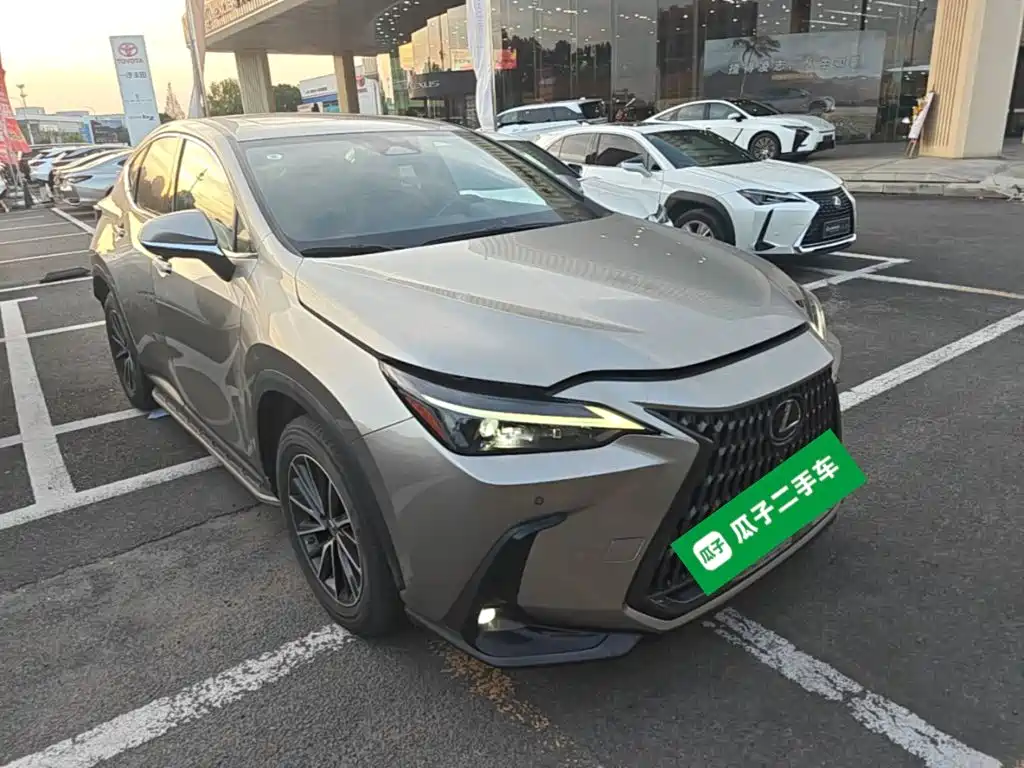 Lexus NX — миниатюра 4