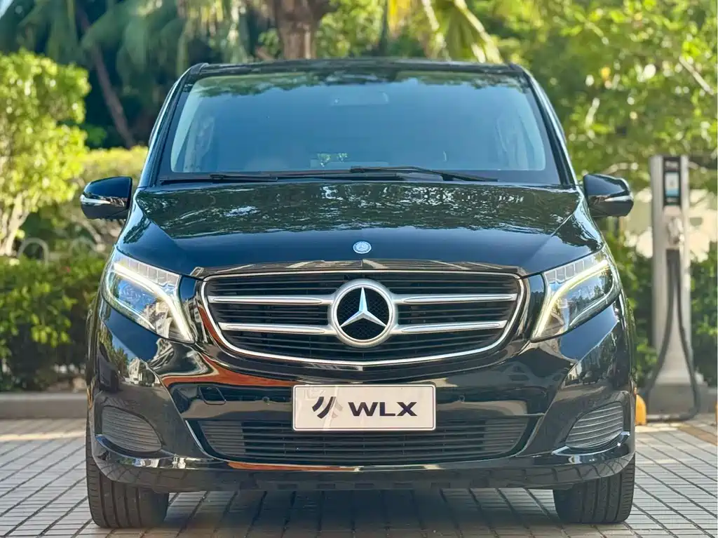 Mercedes-Benz V-Class V 260 Navigator Edition, фото 2