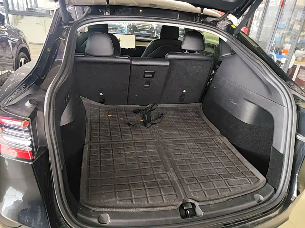 Tesla Model Y — миниатюра 19