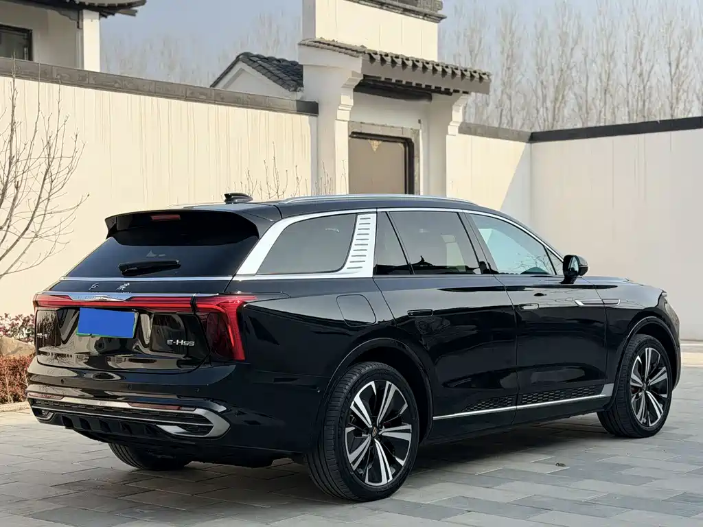 Hongqi HONGQI E HS9