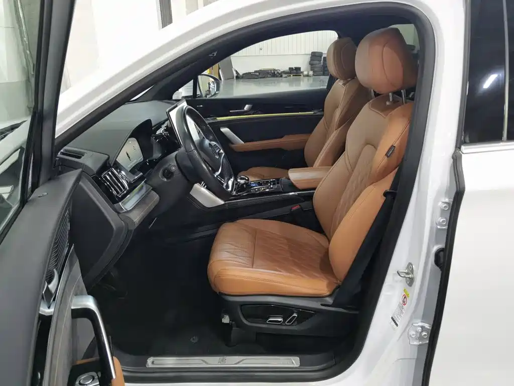 BYD Tang New Energy — миниатюра 10