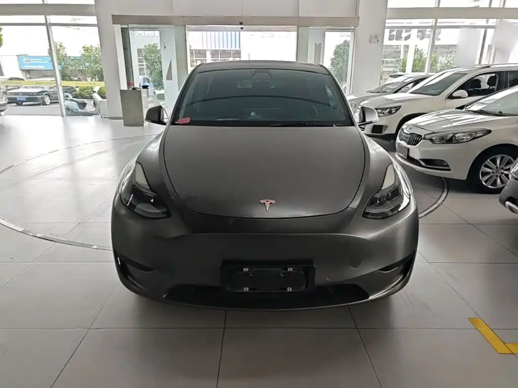 Tesla Model Y — миниатюра 3