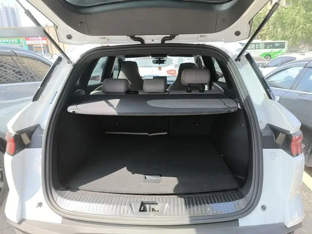 BYD Pro New Energy — миниатюра 19