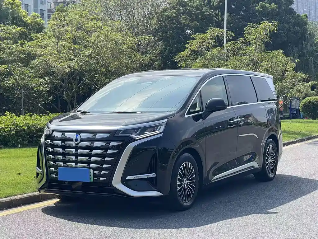 Denza Denza D9