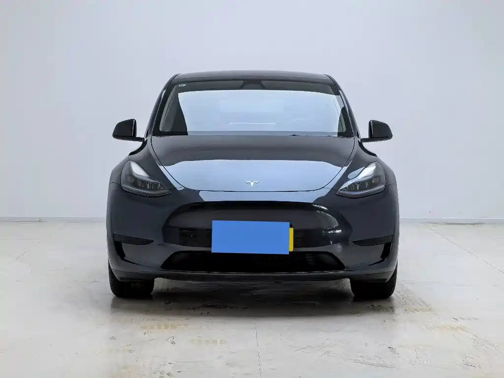 Tesla Model Y — миниатюра 2