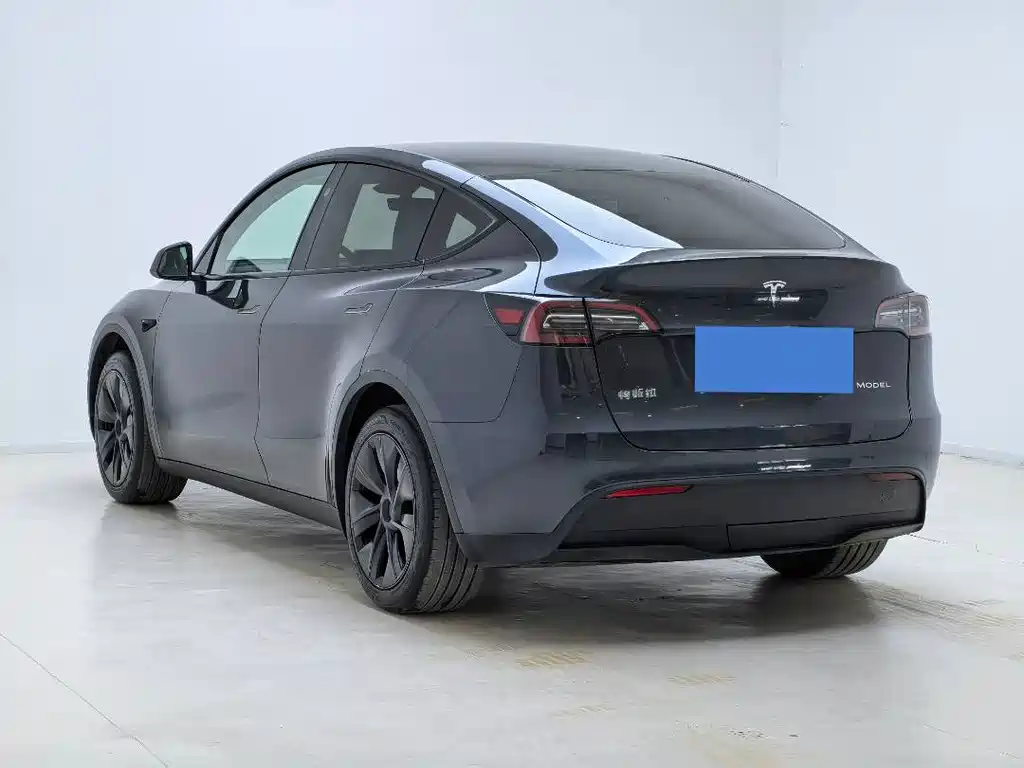 Tesla Model Y — миниатюра 8