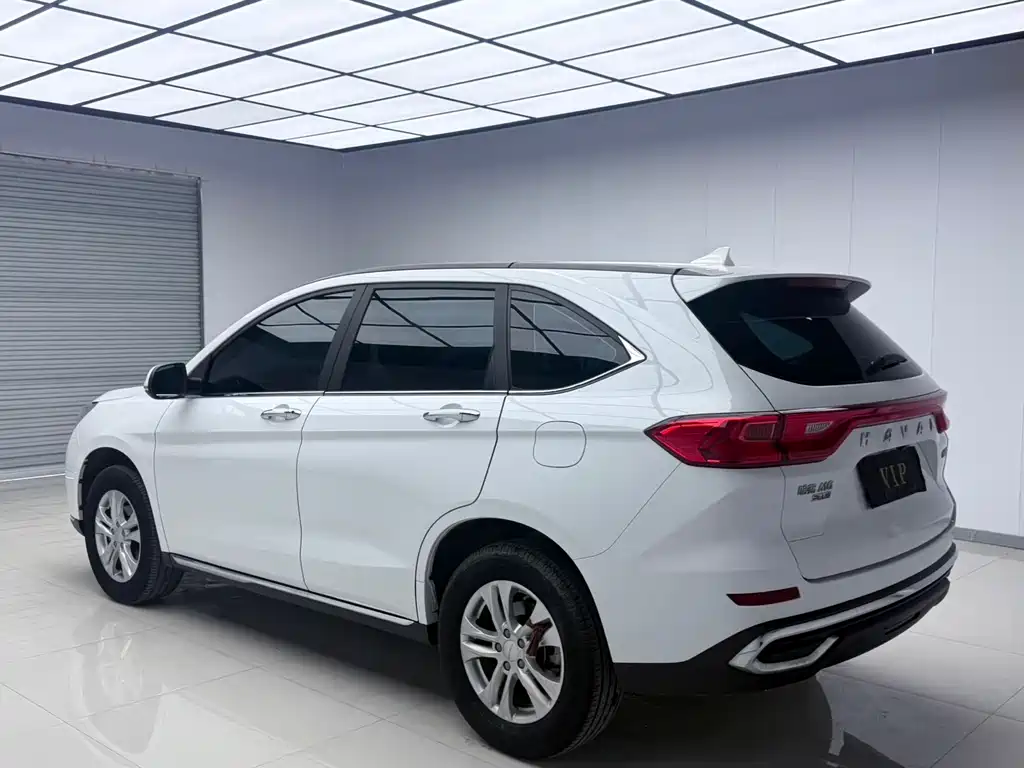 HAVAL M6