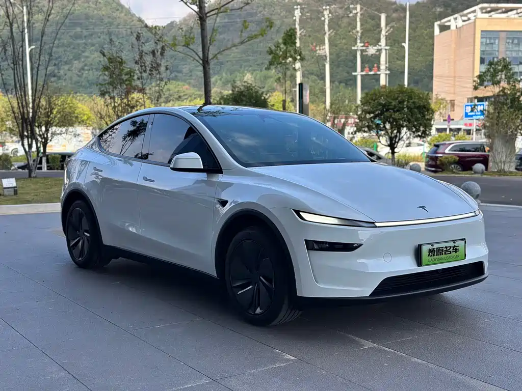 Tesla Model Y — миниатюра 3