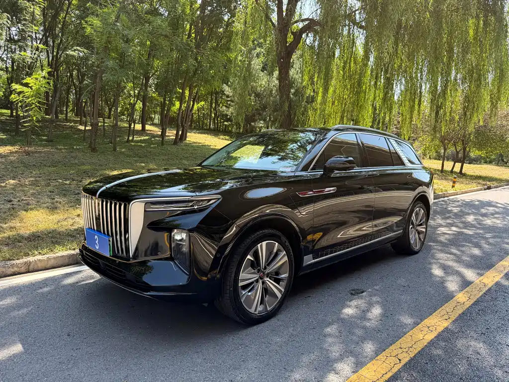 Hongqi Hongqi E-HS9