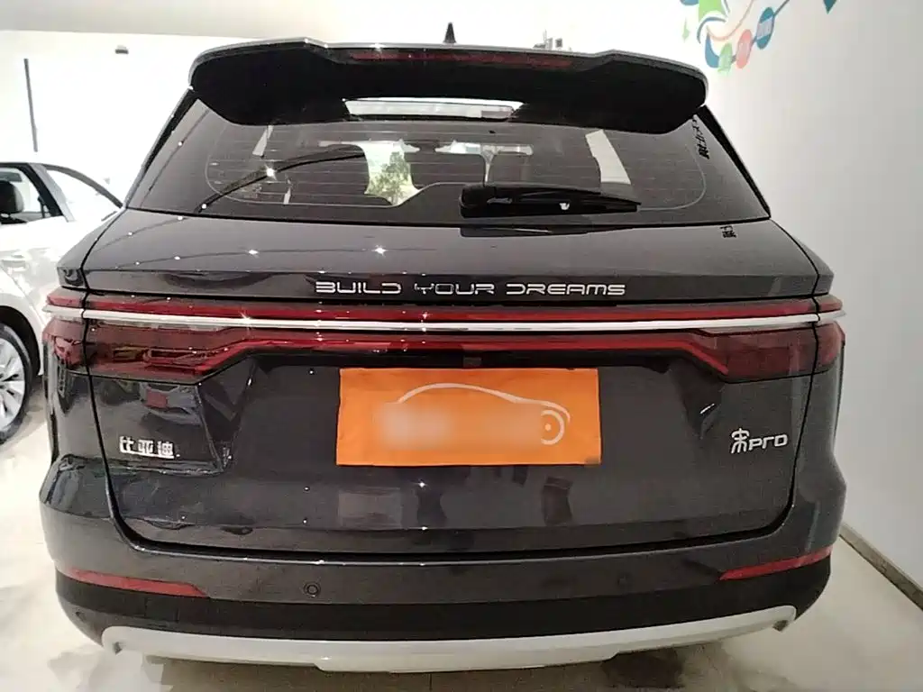 BYD Pro — миниатюра 6