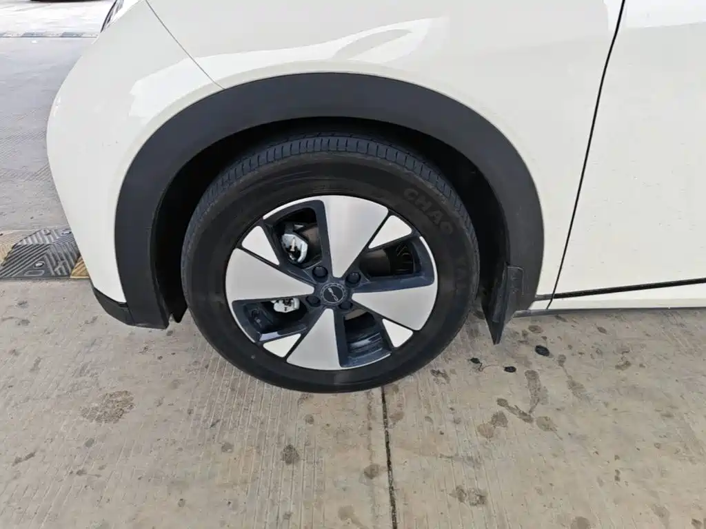 BYD Dolphin — миниатюра 23