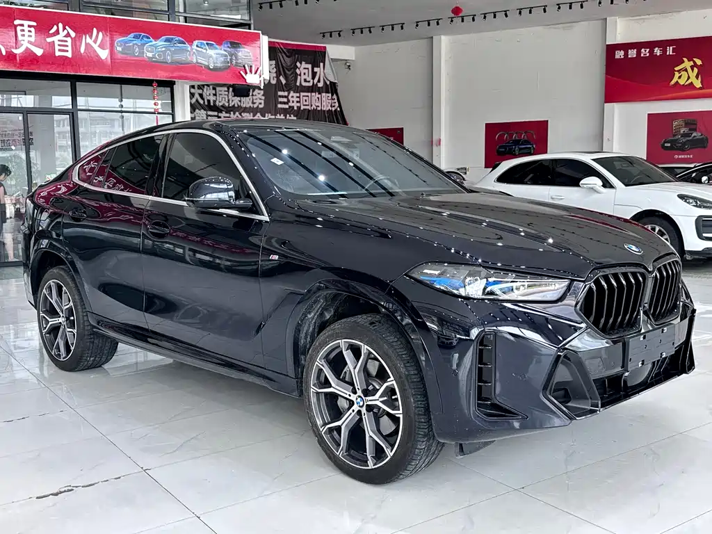 BMW X6 — миниатюра 3