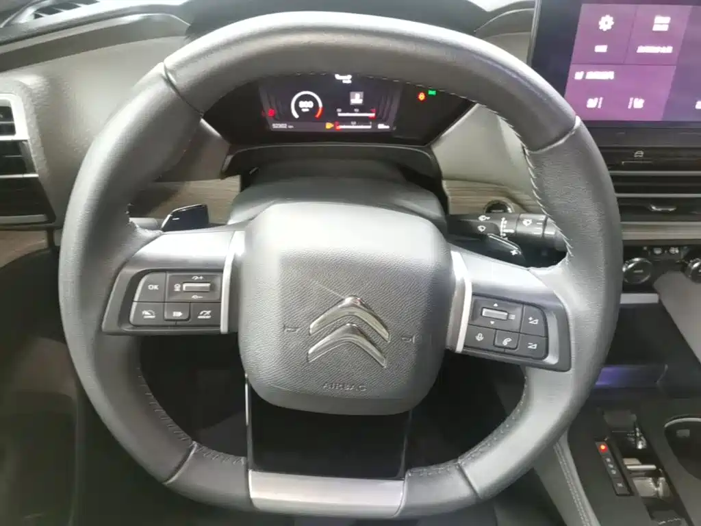 Citroen C5 X — миниатюра 11