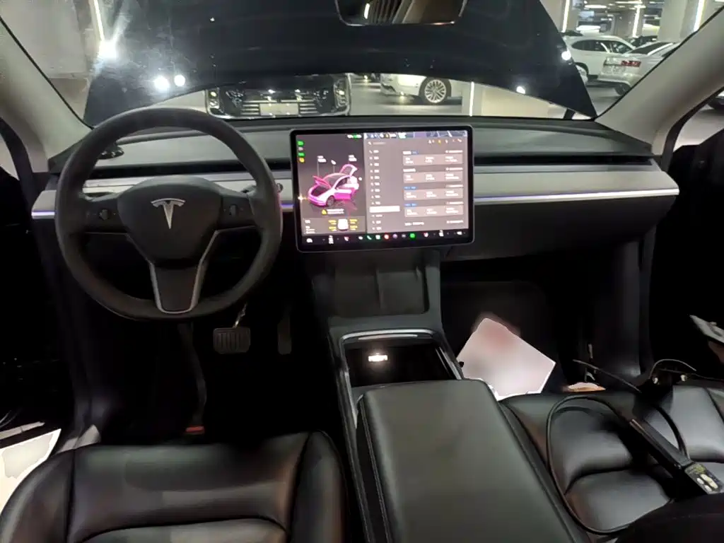 Tesla Model Y — миниатюра 10