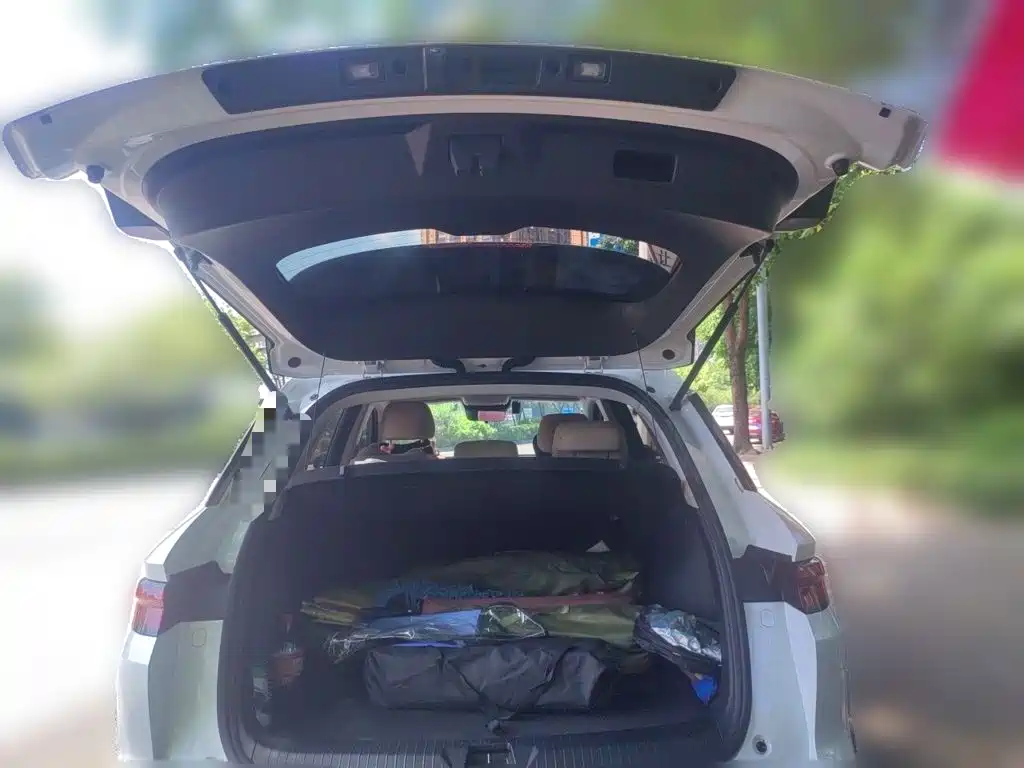BYD Pro New Energy — миниатюра 15