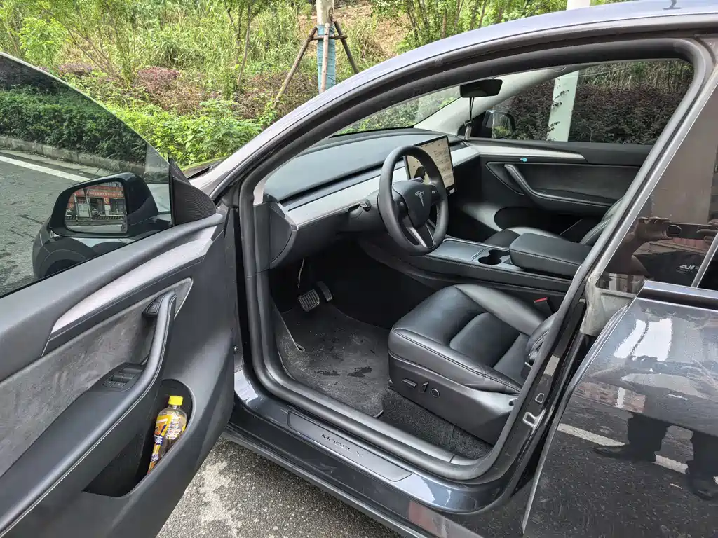 Tesla Model Y — миниатюра 6