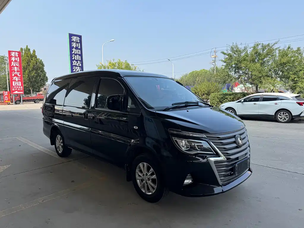 Fengxing Lingzhi — миниатюра 6