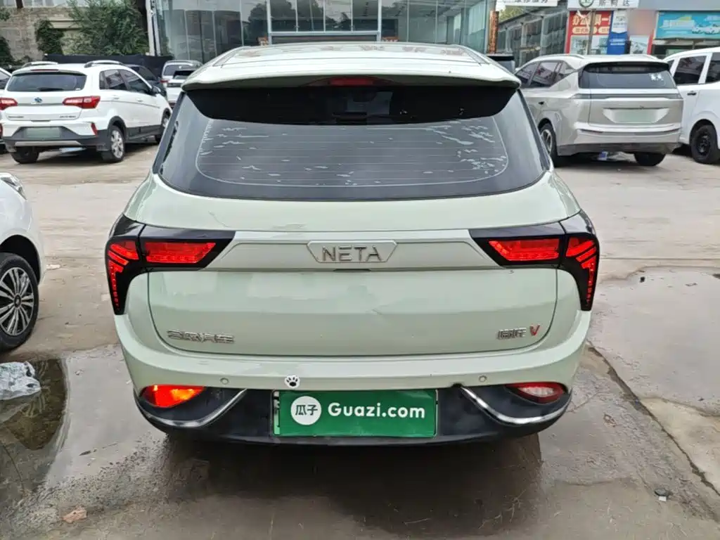 Neta Neta V — миниатюра 6