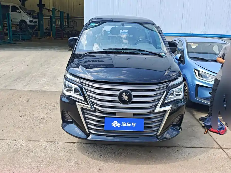 Fengxing Lingzhi — миниатюра 2