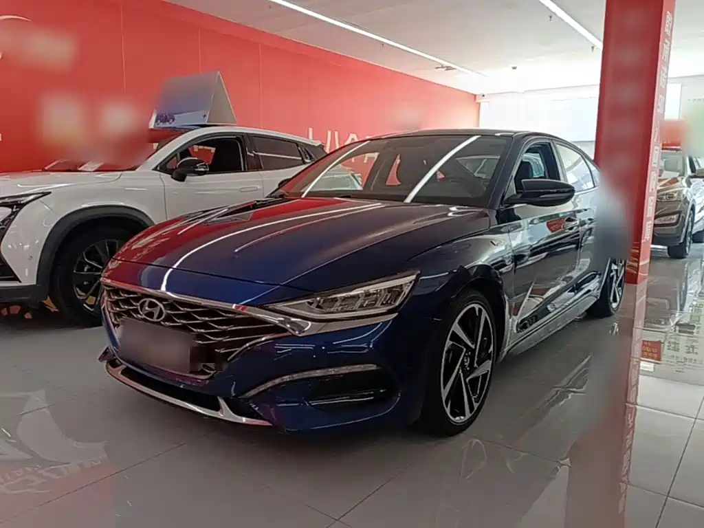 Hyundai Fista — миниатюра 2