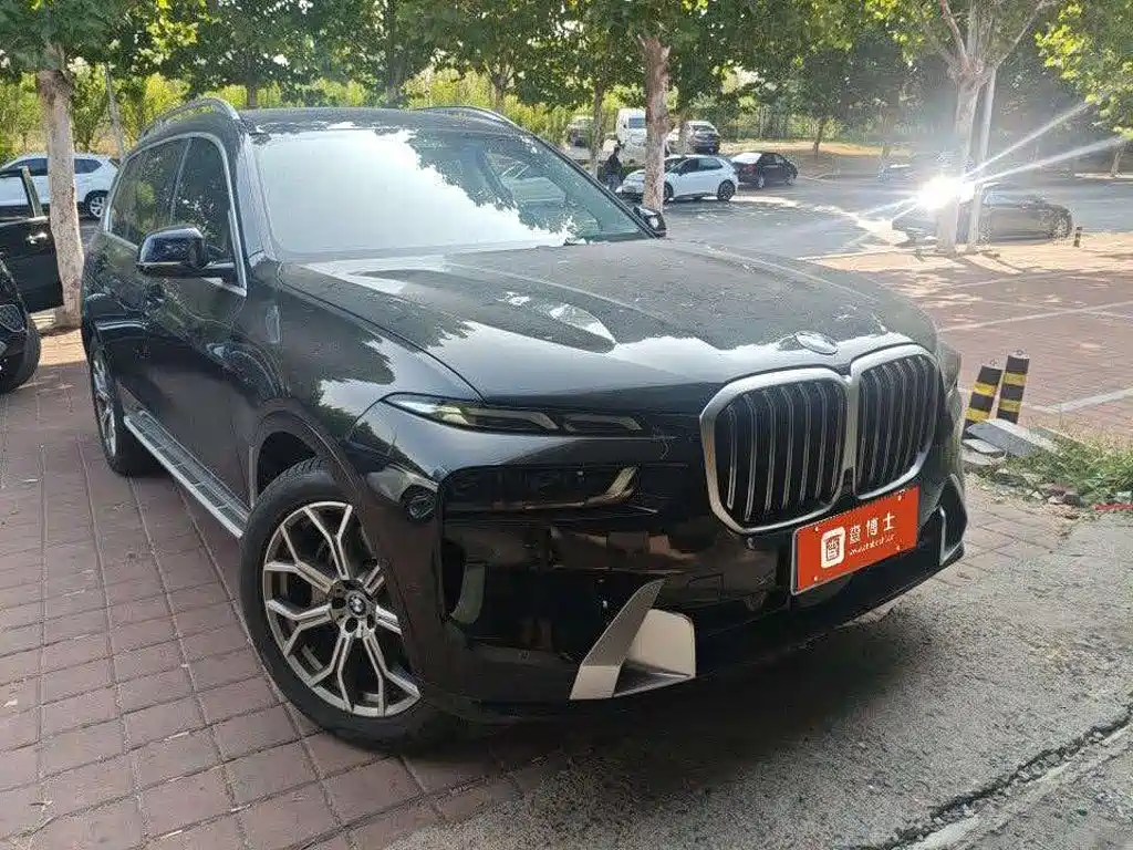BMW X7 — миниатюра 4