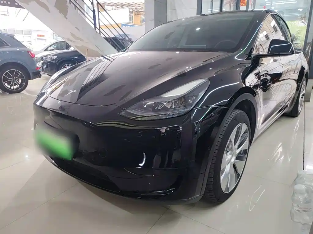 Tesla Model Y — миниатюра 2