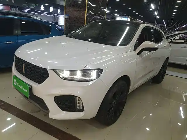 2018 Wey VV5