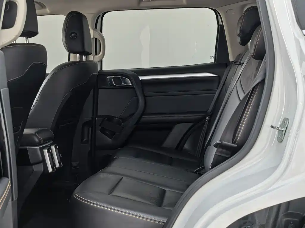 Haval Dargo 2.0T DCT 4WD Xiaotian Dog Edition, фото 8