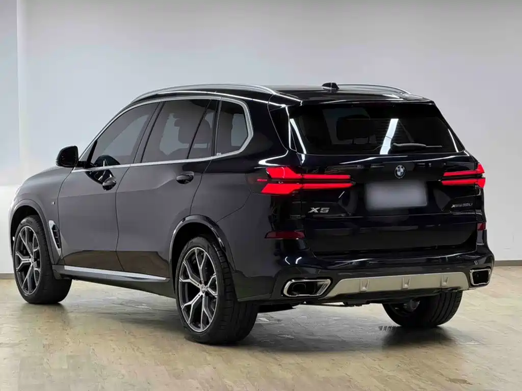 BMW X5 — миниатюра 10