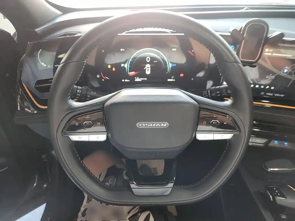 Oshan Oushang X5 PLUS — миниатюра 11