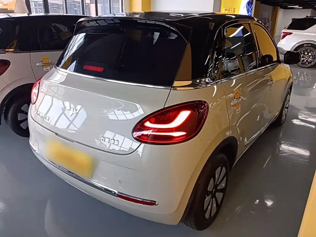 Wuling Binguo 2023 333km +