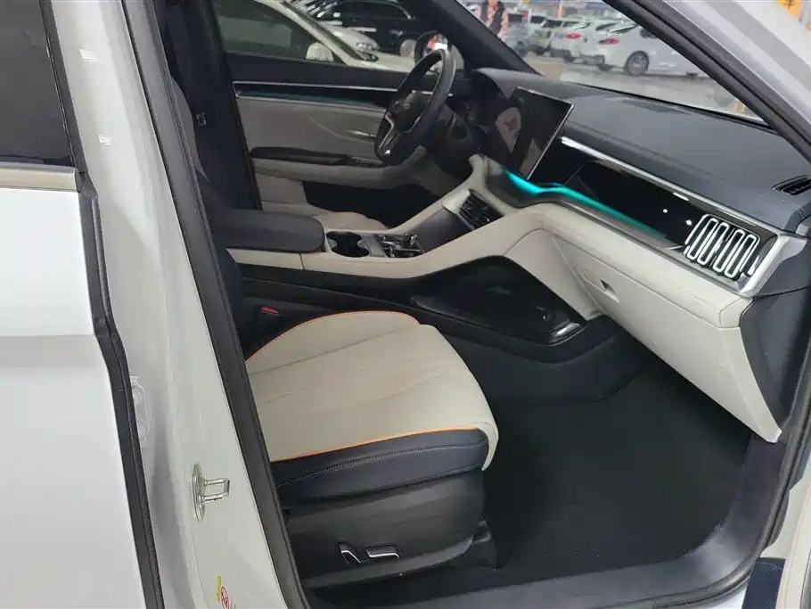 BYD SONGJIANG NEW ENERGY