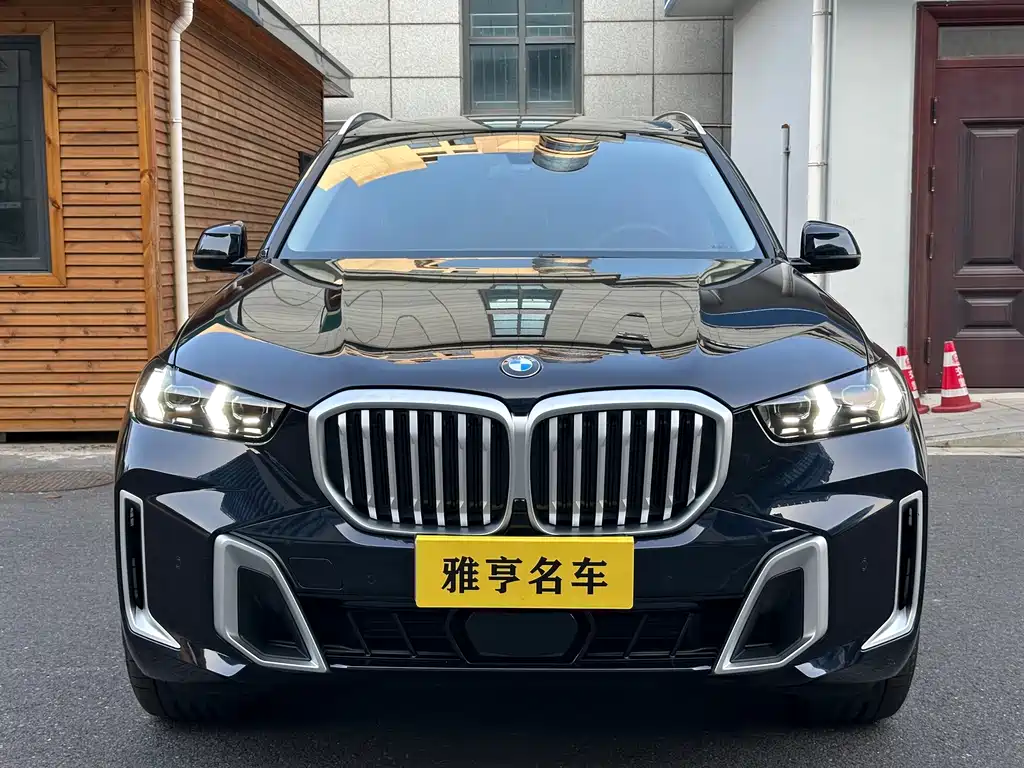 BMW X5 — миниатюра 2