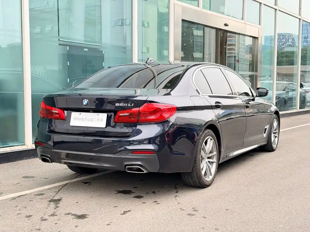 BMW 5 Series — миниатюра 5