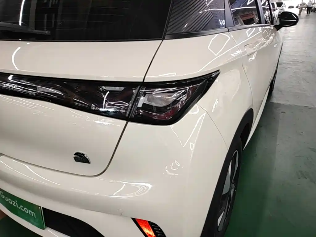 BYD Dolphin — миниатюра 8