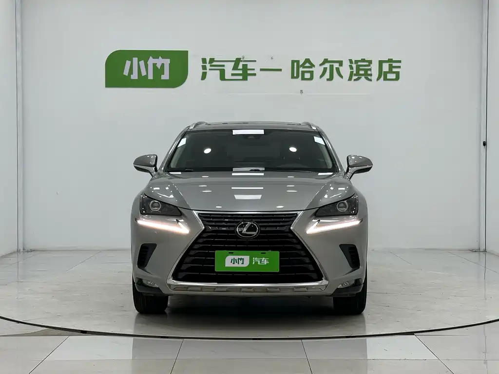 Lexus NX — миниатюра 2