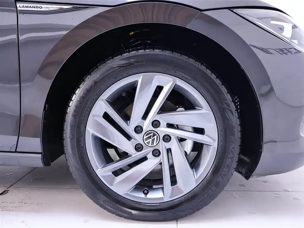 Volkswagen Lamando 2024 L 280TSI DSG